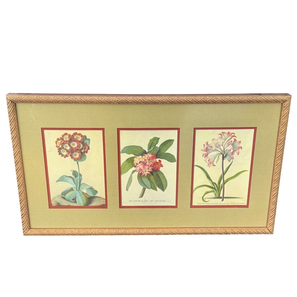 Vintage Botanical Floral Triptych Framed Art Primula Plumeria Narcissus 19x10